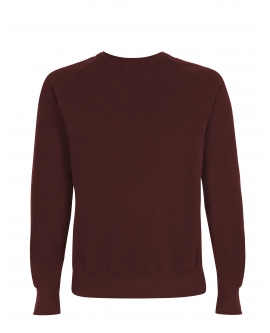 Bluza ekologiczna raglanowa Unisex marka EARTHPOSITIVE 3