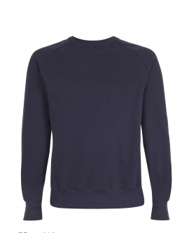 Bluza ekologiczna raglanowa Unisex marka EARTHPOSITIVE 7
